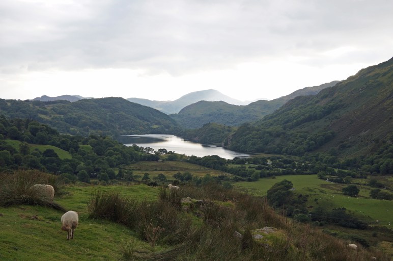 Snowdonia.jpg