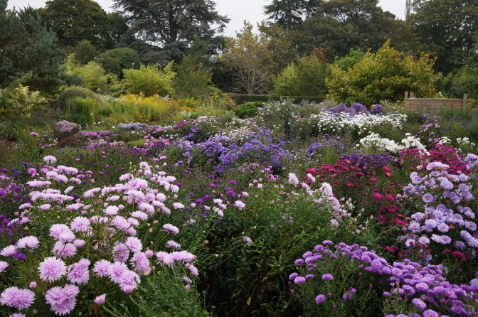 Nursery in September 5126a