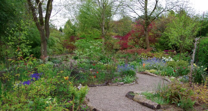 Picton Garden, early spring