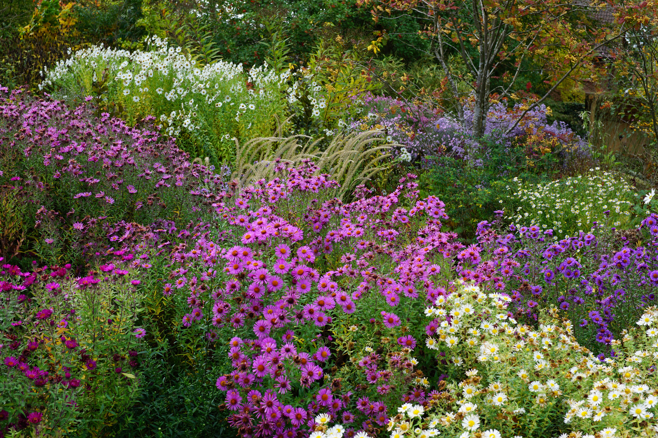 John Davis in centre